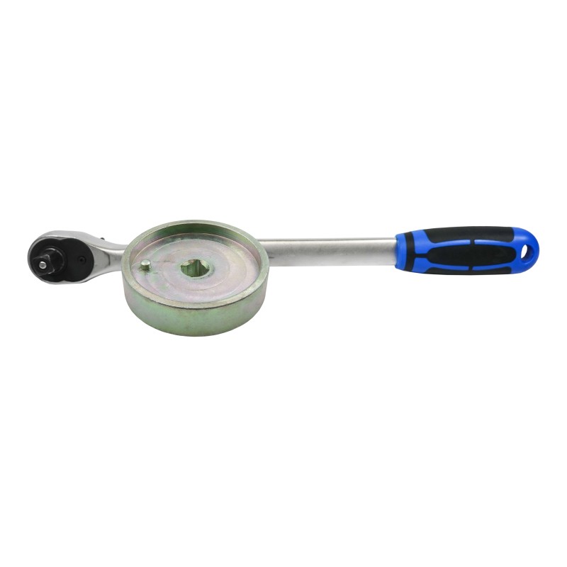 Cliquet avec extracteur A M