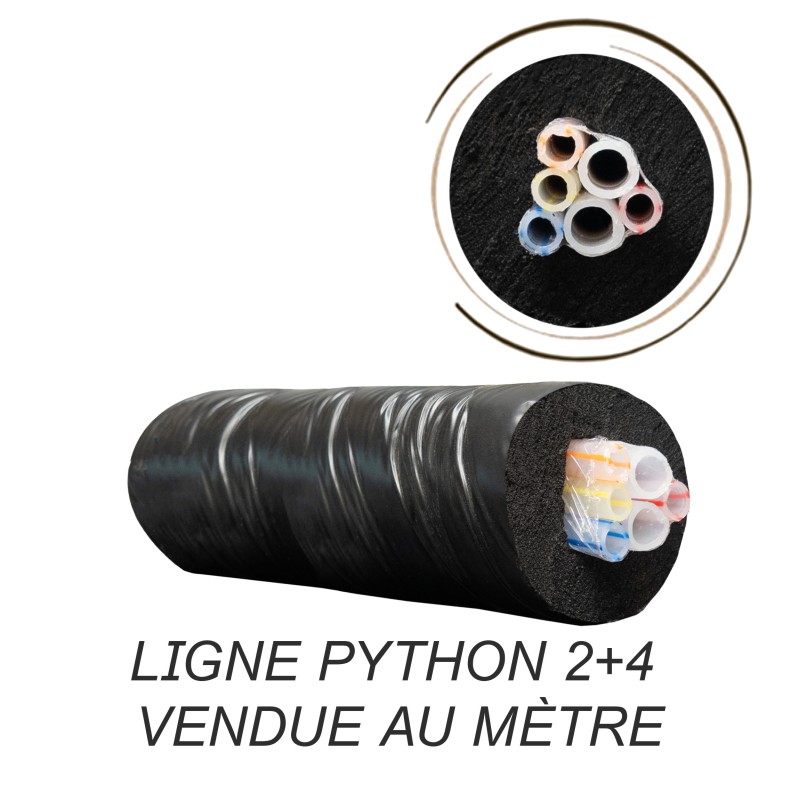 Ligne python 2+4