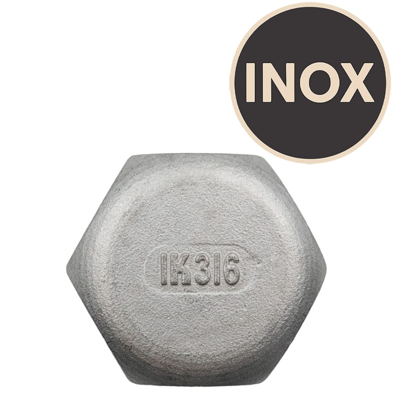 Bouchon Inox 1"