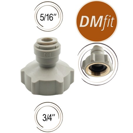 Union femelle DMfit